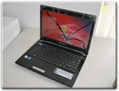 Замена матрицы Packard Bell в Истре